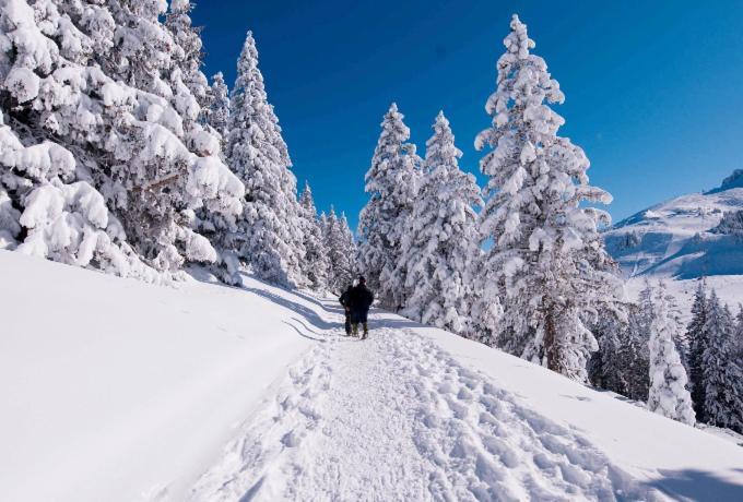 Votre Studio Balneo Bien-Etre A La Montagne Thollon-les-Memises Exterior foto